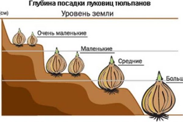 Адрес кракен в тор